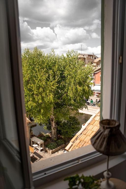 La Maison Du Bassin L'Isle-sur-la-Sorgue Bagian luar foto